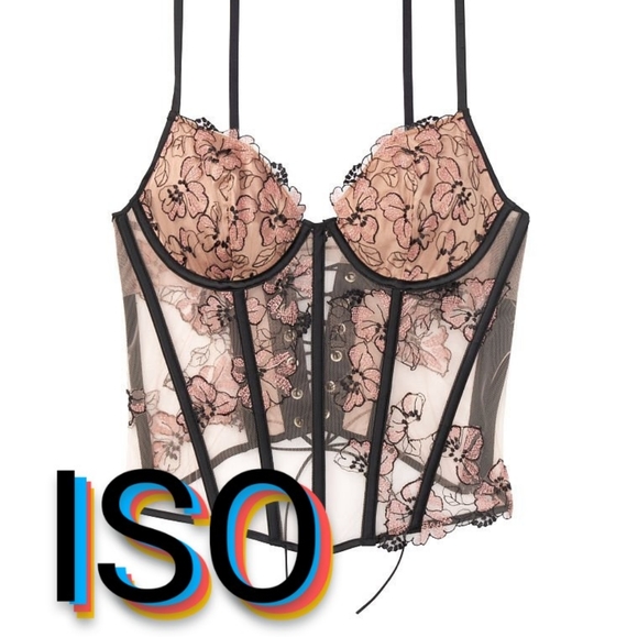 COPY - Victoria's secret floral embroidered corset - Picture 1 of 1